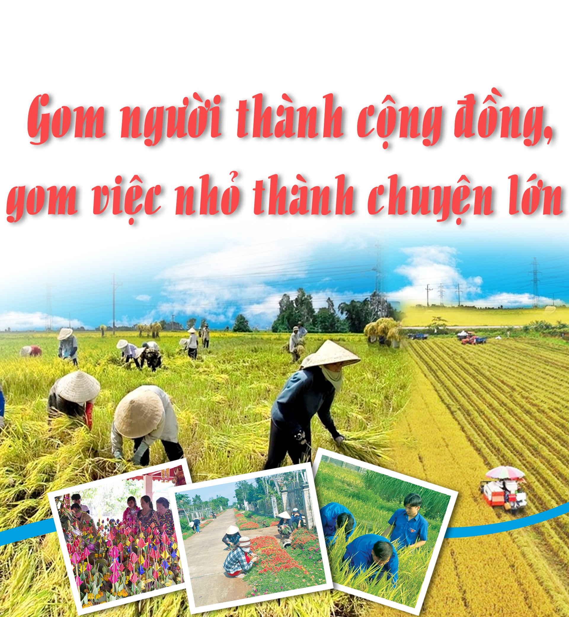 cover1.jpg