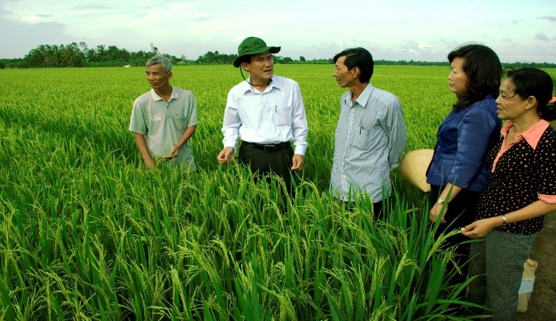 Nâng cao hiệu quả của các lớp học thực hành