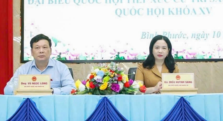 cử tri 1