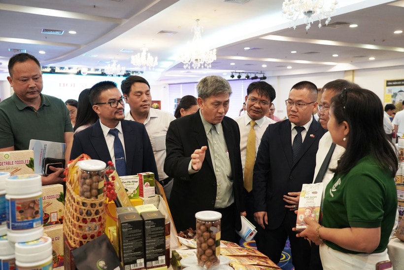Quang Tri connects local and global businesses (Photo: VNA)