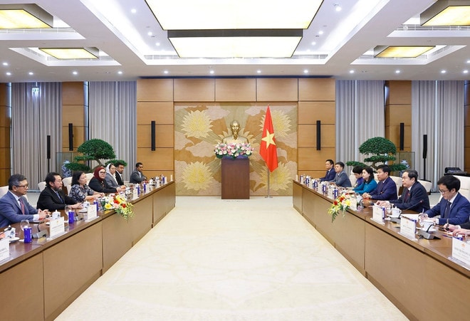 The meeting between NA Chairman Tran Thanh Man and Yorrys Raweyai, Deputy Speaker of the Regional Representative Council (DPD) of Indonesia, in Hanoi on July 10, 2025. (Photo: VNA) The meeting between NA Chairman Tran Thanh Man and Yorrys Raweyai, Deputy Speaker of the Regional Representative Council (DPD) of Indonesia, in Hanoi on July 10, 2025. (Photo: VNA)