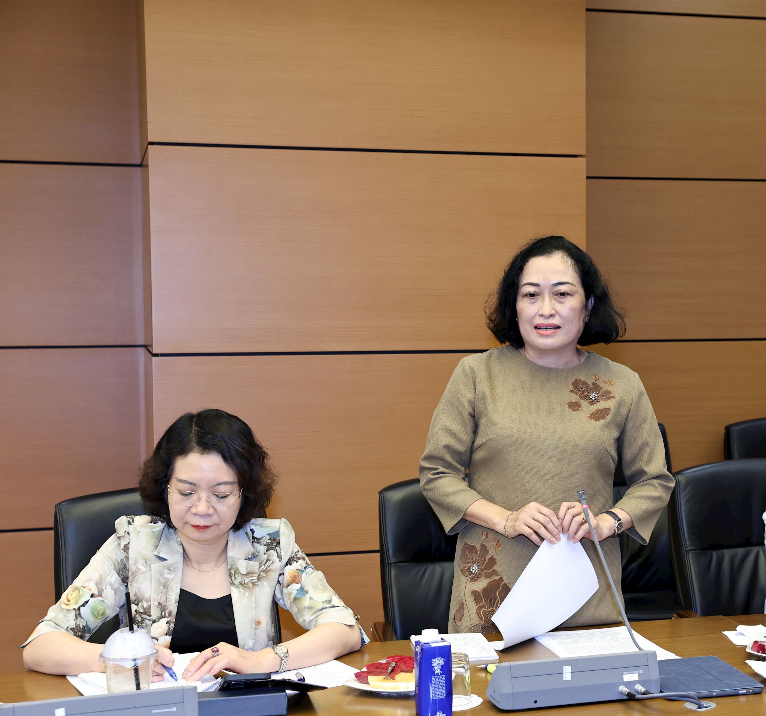 Phó Chủ tịch Hội đồng Dân tộc Trần Thị Hoa Ry phát biểu