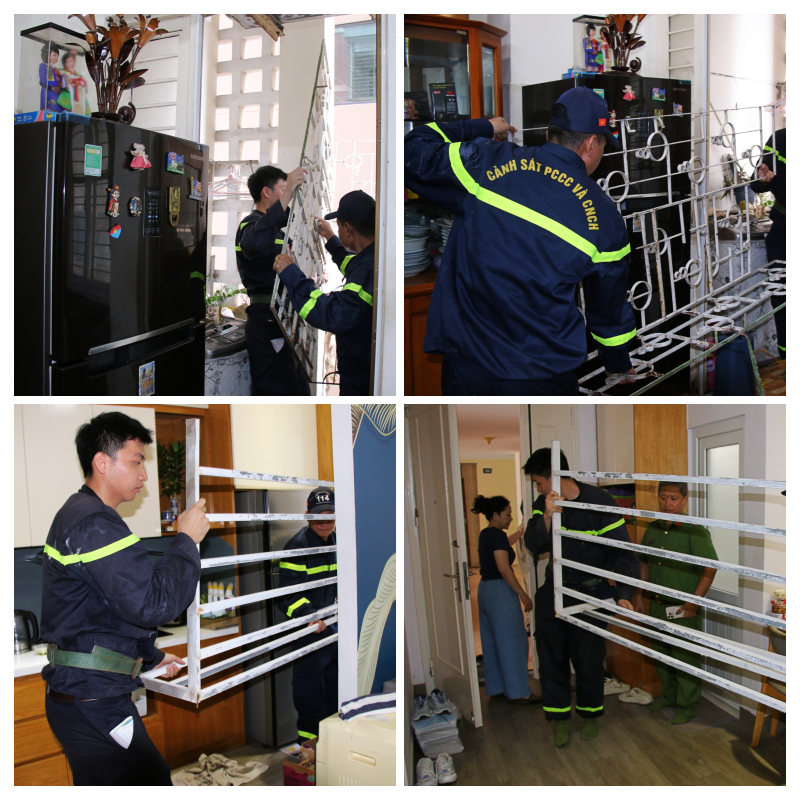 collage.png