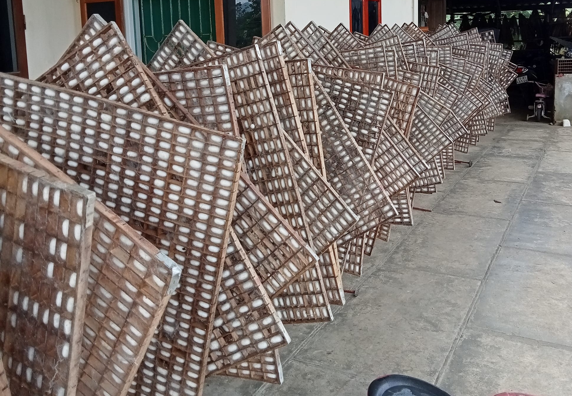 khung kén tằm giúp công việc nuôi tằm ươm tơ trở nên dễ dàng hơn