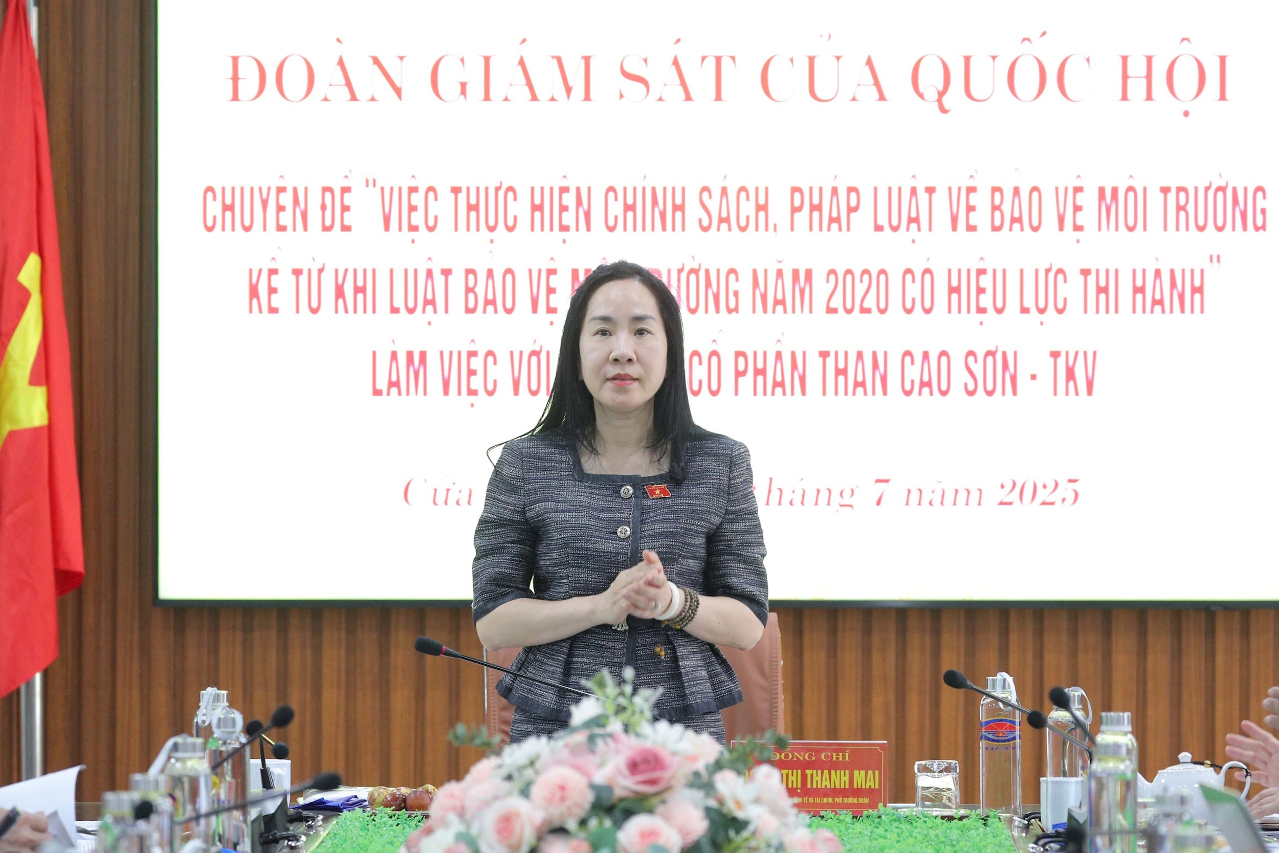 Phó Chủ nhiệm Ủy ban Kinh tế và Tài chính Đoàn Thị Thanh Mai 1