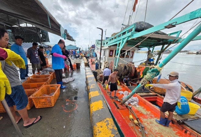 Fishermen load seafood at Ganh Hao seaport in Ca Mau province. (Photo: VNA) vna-potal-ngu-dan-ganh-hao-ca-mau-dong-long-quyet-tam-go-the-vang-iuu-8147838.jpg