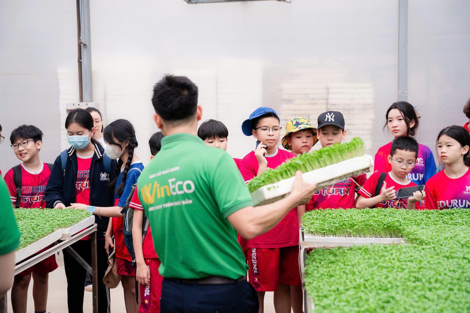 Các em học sinh tham quan nông trại WinEco