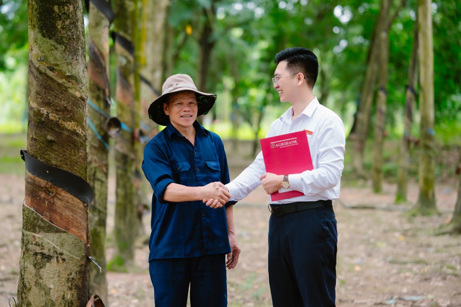 Ảnh hộ kinh doanh crop