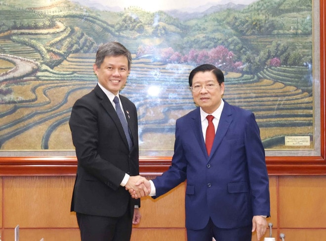 Politburo member, Secretary of the Central Committee of the Communist Party of Vietnam (CPV) and Chairman of its Commission for Internal Affairs Phan Dinh Trac (R) shakes hands with Chan Chun Sing, Assistant Secretary-General of the People’s Action Party (PAP) of Singapore at their meeting in Hanoi on July 21, 2025. (Photo: VNA) trac.jpg