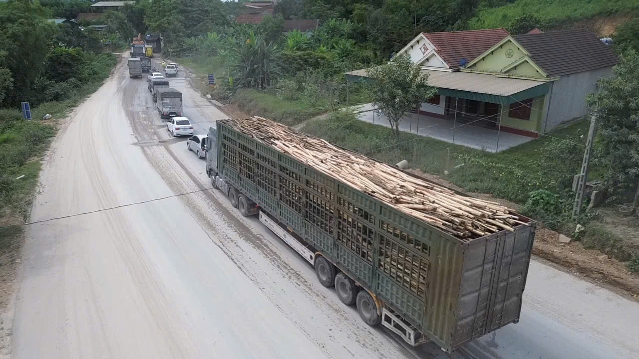 ql80.jpg