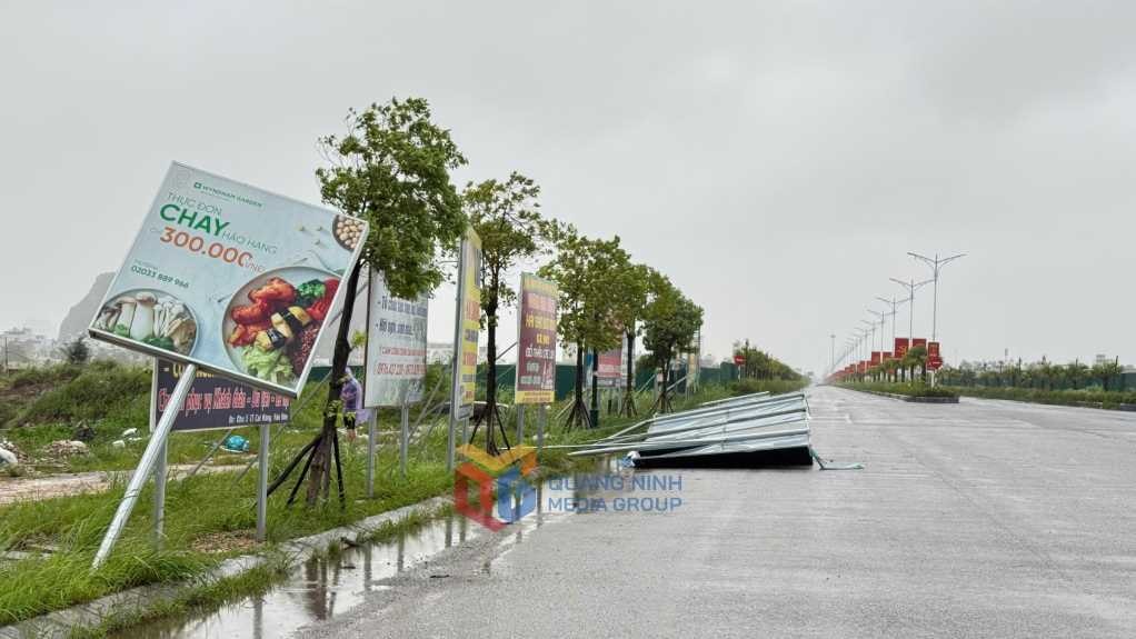 722725Quảng NinhCông tác phòng, chống bão được đảm bảo1
