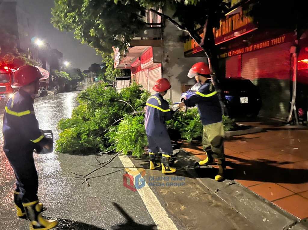 722725Quảng NinhCông tác phòng, chống bão được đảm bảo3