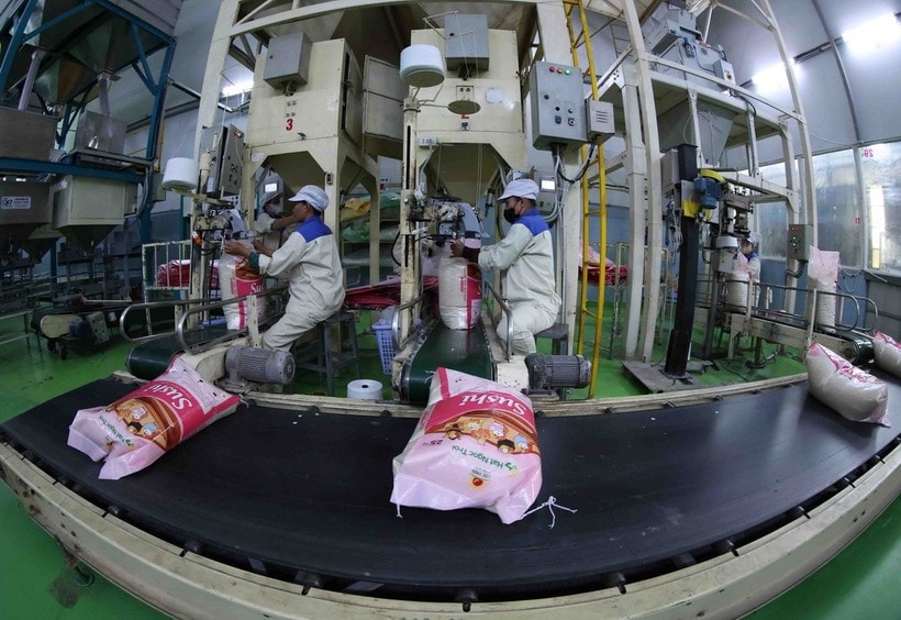 Senegal is a potential market for Vietnamese rice (Photo: VNA)