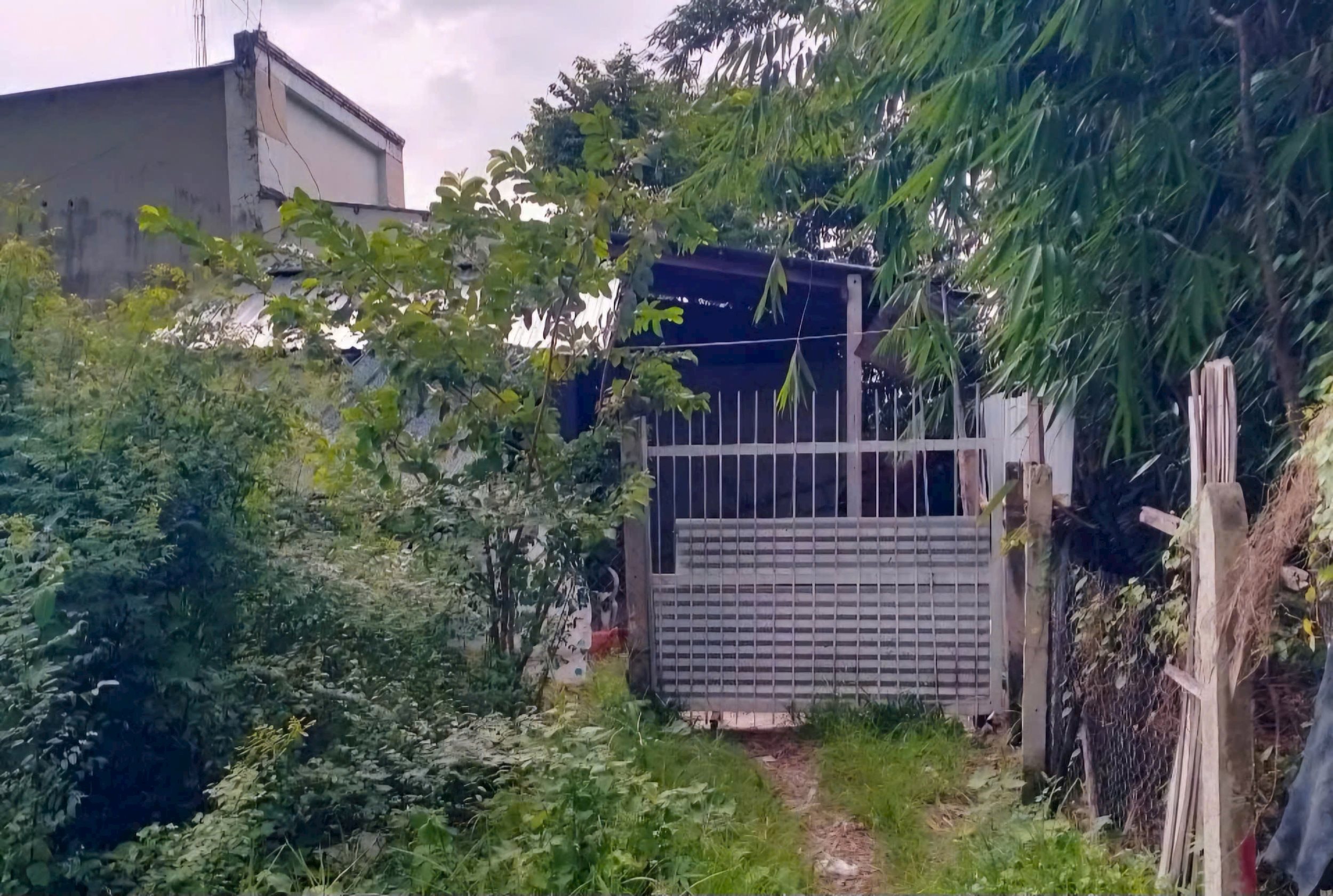 đất 2