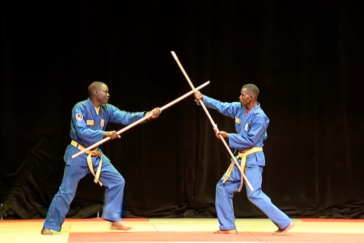 Màn biểu diễn võ thuật do võ sinh Liên đoàn Vovinam Senegal biểu diễn