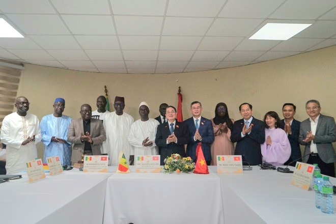 Participants at the working session. (Photo: VNA) vna-potal-pho-chu-tich-quoc-hoi-nguyen-duc-hai-lam-viec-voi-chu-tich-toa-tham-ke-senegal-8169867.jpg