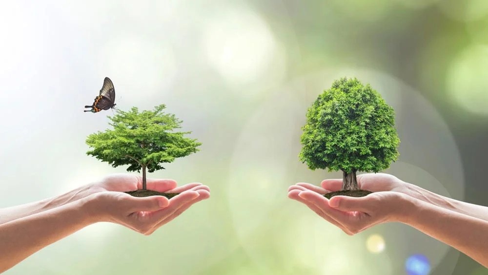 Biodiversity in Japan | Sustainability from Japan - Zenbird
