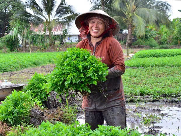 Anh An Giang 1
