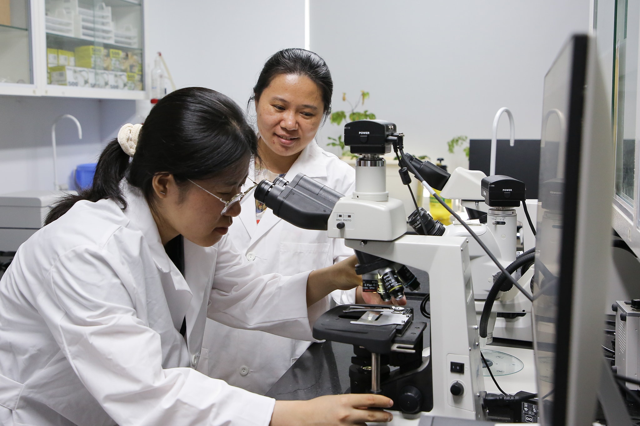 Sinh viên ngành Công nghệ sinh học, Trường Đại học Công nghệ, Đại học Quốc gia Hà Nội