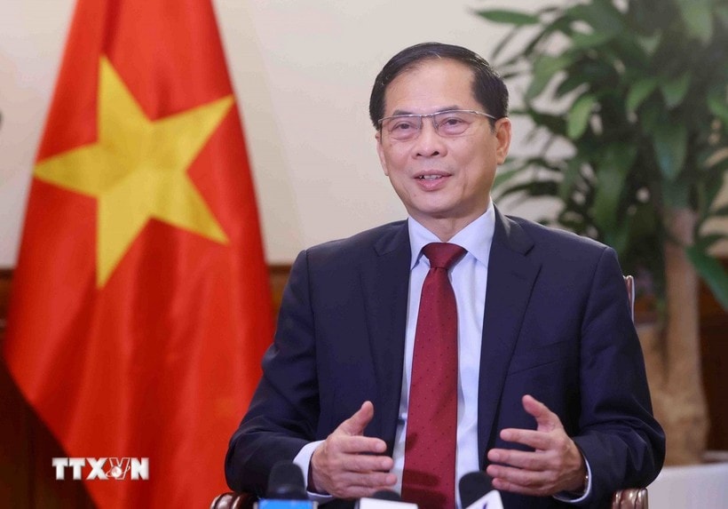 Deputy Prime Minister and Minister of Foreign Affairs Bui Thanh Son (Photo: VNA)