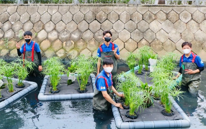 Mô hình làm bè trồng cây thủy sinh của đoàn viên quận 12