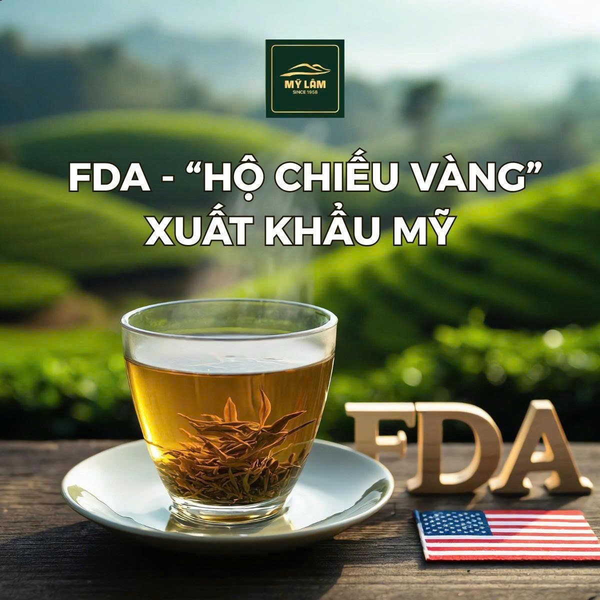 e61b9da36984e0dab995.jpg