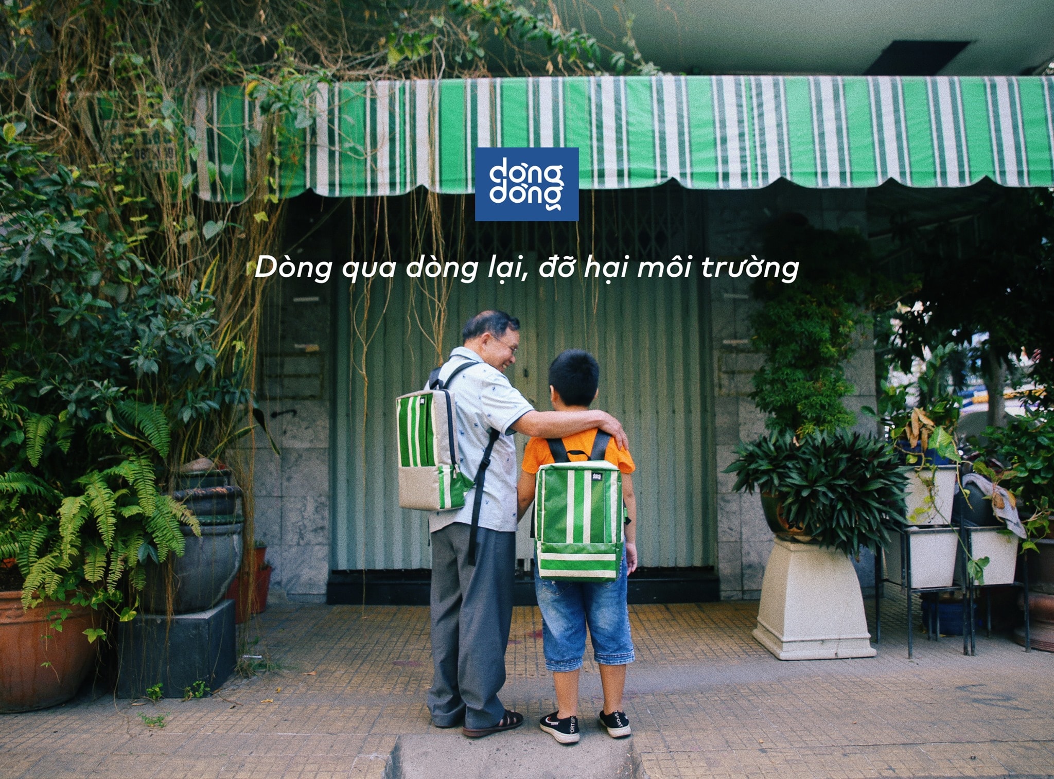 Dòng dòng