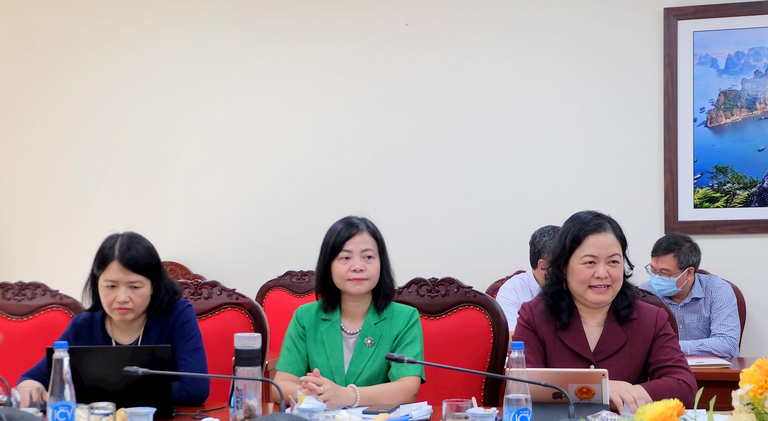 Các đại biểu phát biểu tại cuộc làm việc