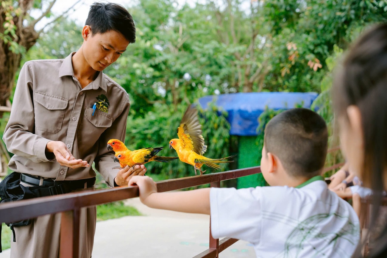Show diễn chim - “ tân binh” mới nổi của mùa hè 2025. Ảnh: VinWonders. 2.jpg