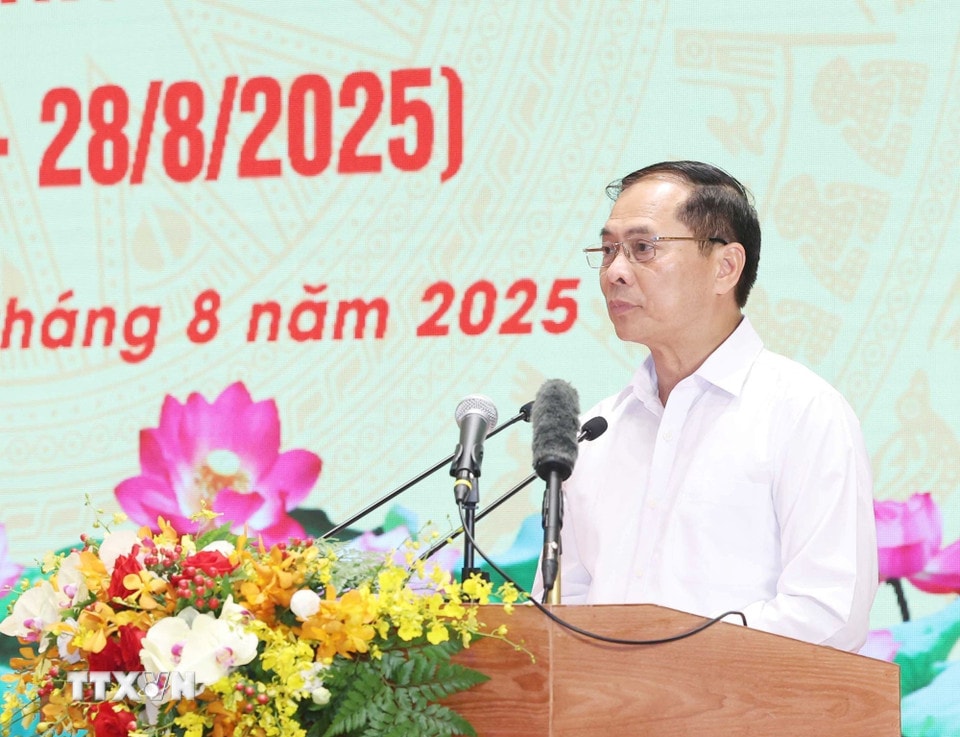 Ông Bùi Thanh Sơn, Uỷ viên Trung ương Đảng, Phó Thủ tướng Chính phủ, Bộ trưởng Bộ Ngoại giao phát biểu. (Ảnh: Thống Nhất/TTXVN)