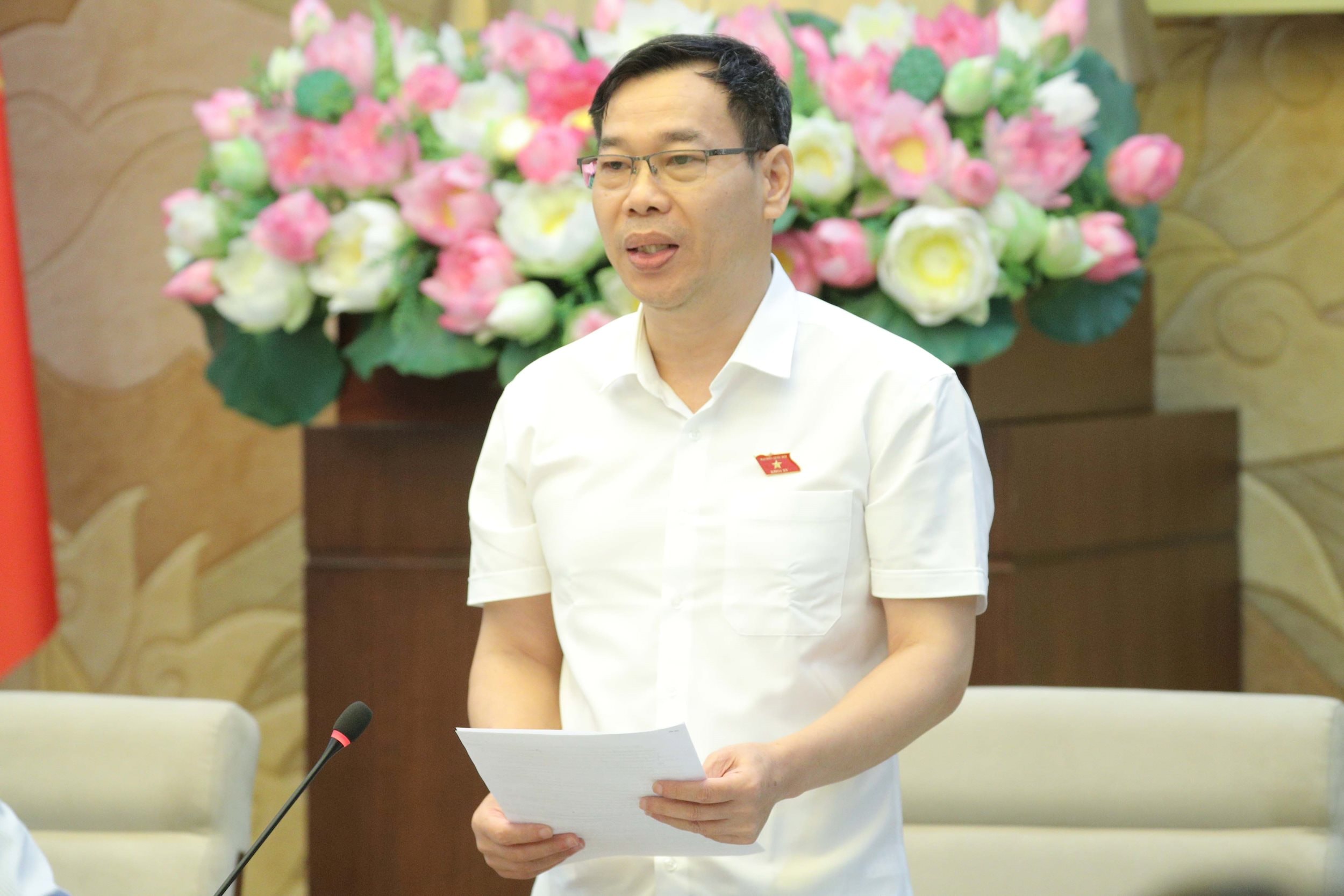 Phó Chủ nhiệm Ủy ban Pháp luật và Tư pháp Đỗ Đức Hồng Hà