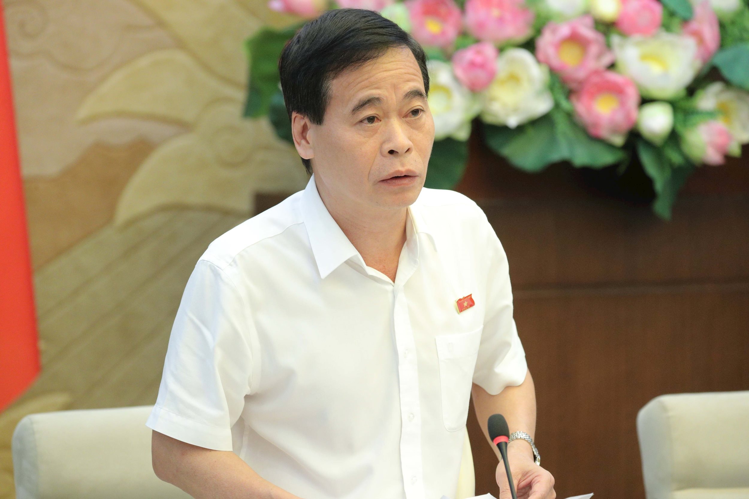 Phó Chủ nhiệm Ủy ban Pháp luật và Tư pháp Nguyễn Mạnh Cường 1