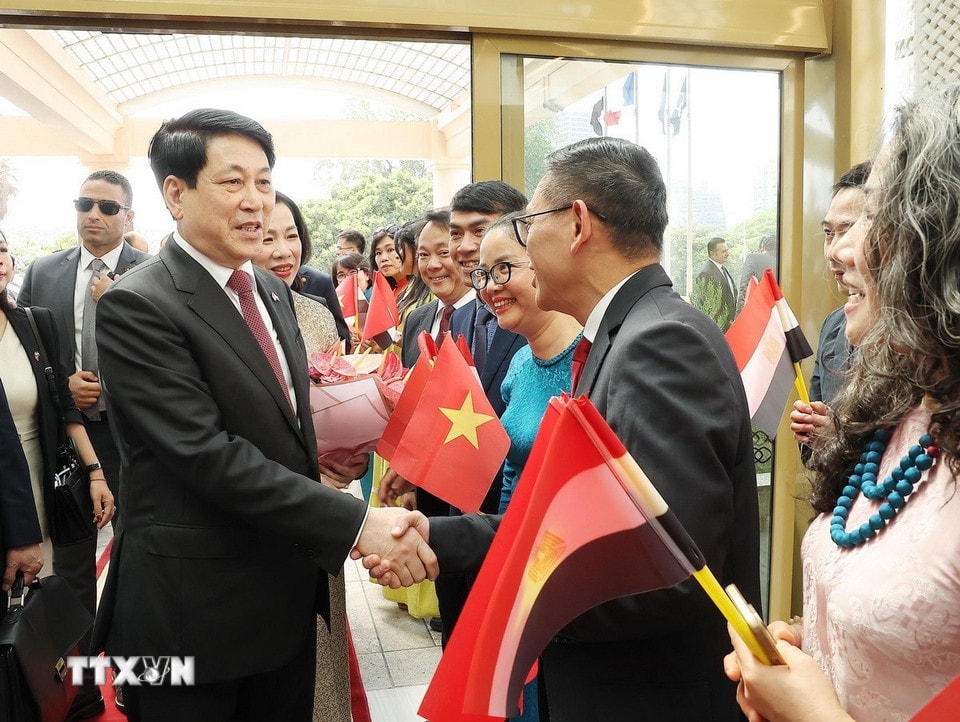 Kiều bào đón Chủ tịch nước Lương Cường và Phu nhân tại Thủ đô Cairo, Ai Cập. Ảnh: Lâm Khánh/TTXVN