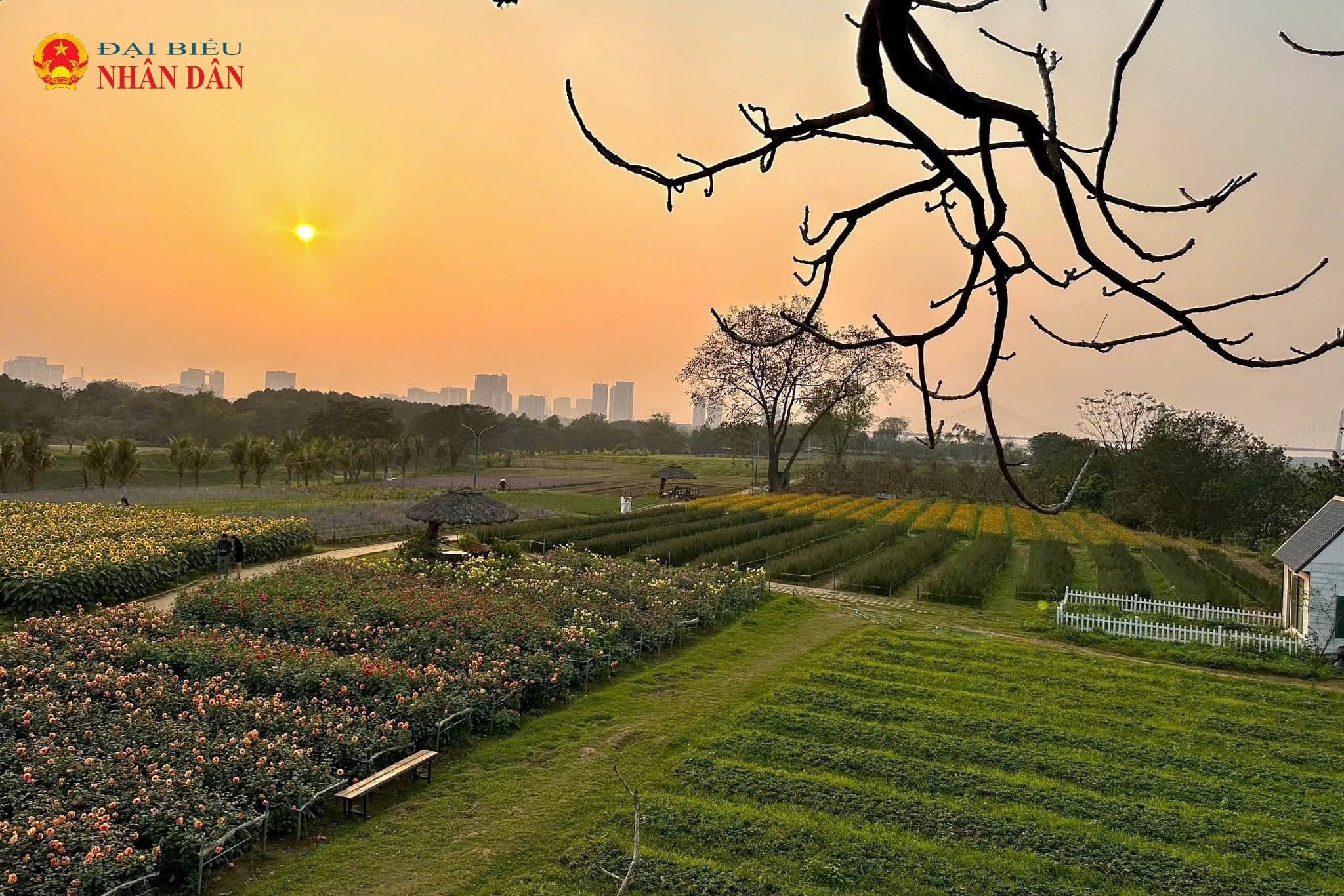 bai da song Hong_Ha Noi (13)