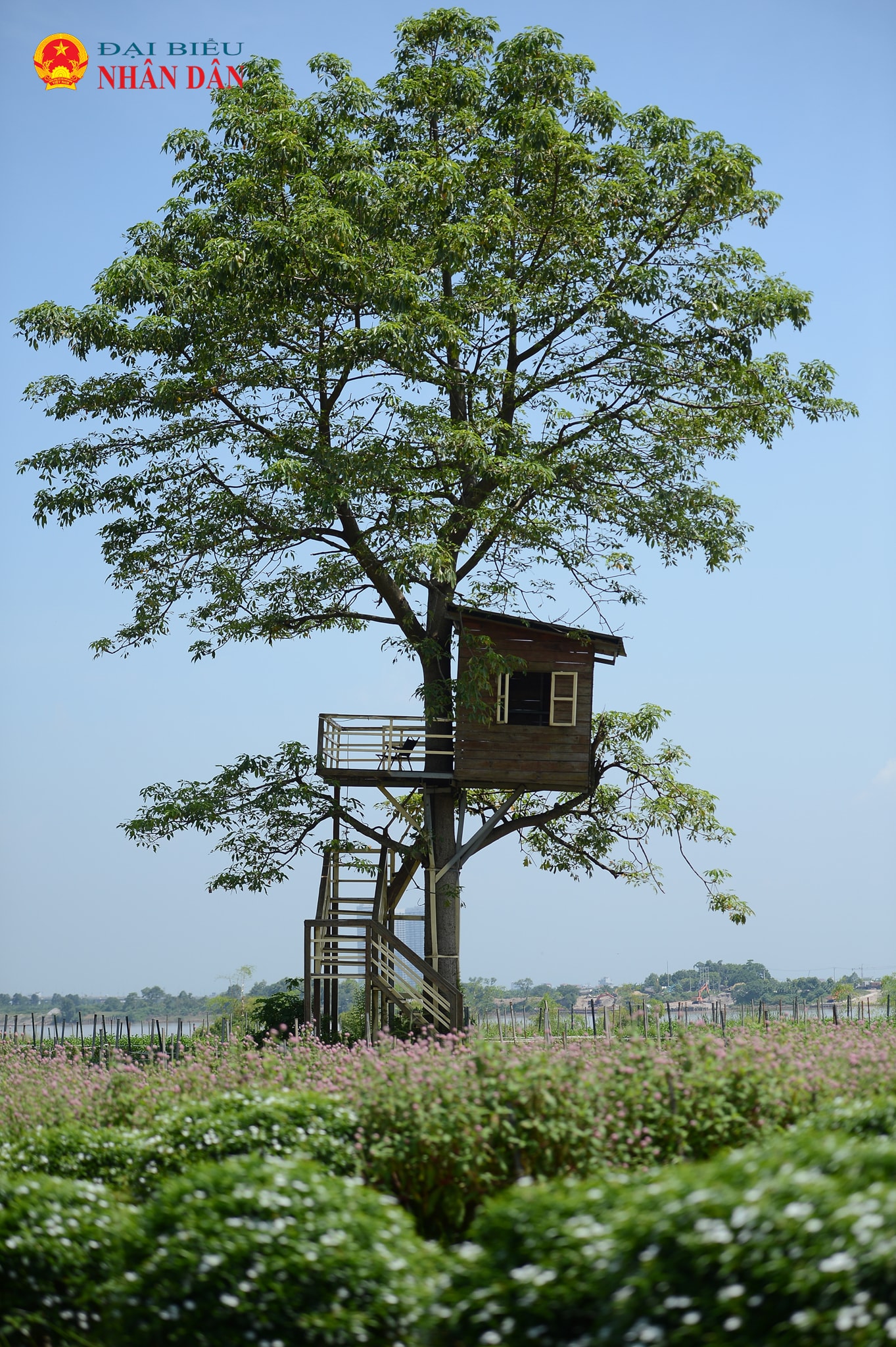 bai da song Hong_Ha Noi (4)