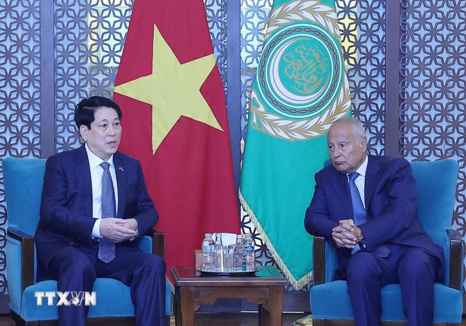 Chủ tịch nước Lương Cường gặp Tổng Thư ký Liên đoàn Arab Ahmed Aboul Gheit. (Ảnh: Lâm Khánh/TTXVN) ttxvn-chu-tich-nuoc-luong-cuong-phat-bieu-chinh-sach-tai-lien-doan-arab-0408-7.jpg
