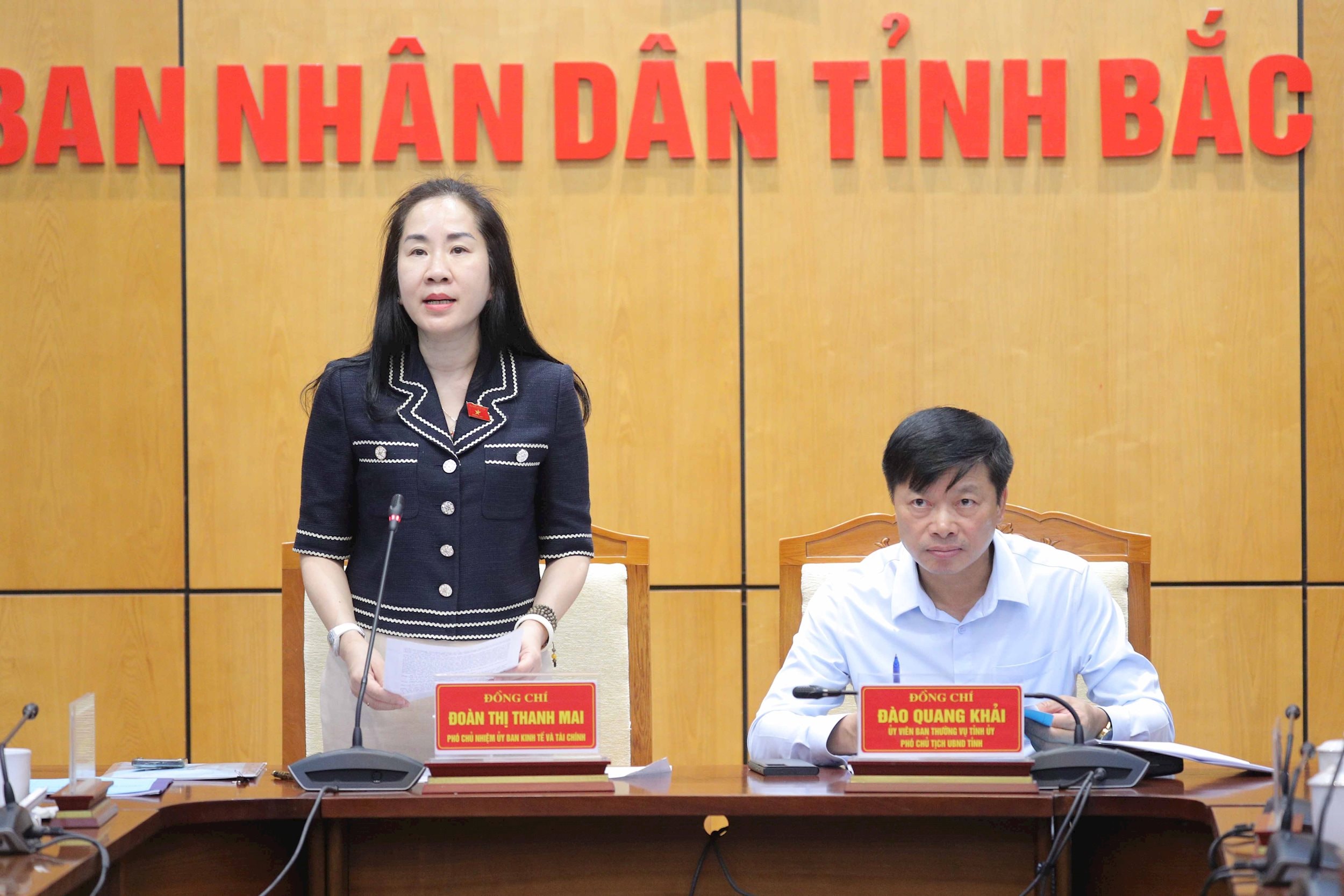 Phó Chủ nhiệm Ủy ban Kinh tế và Tài chính Đoàn Thị Thanh Mai