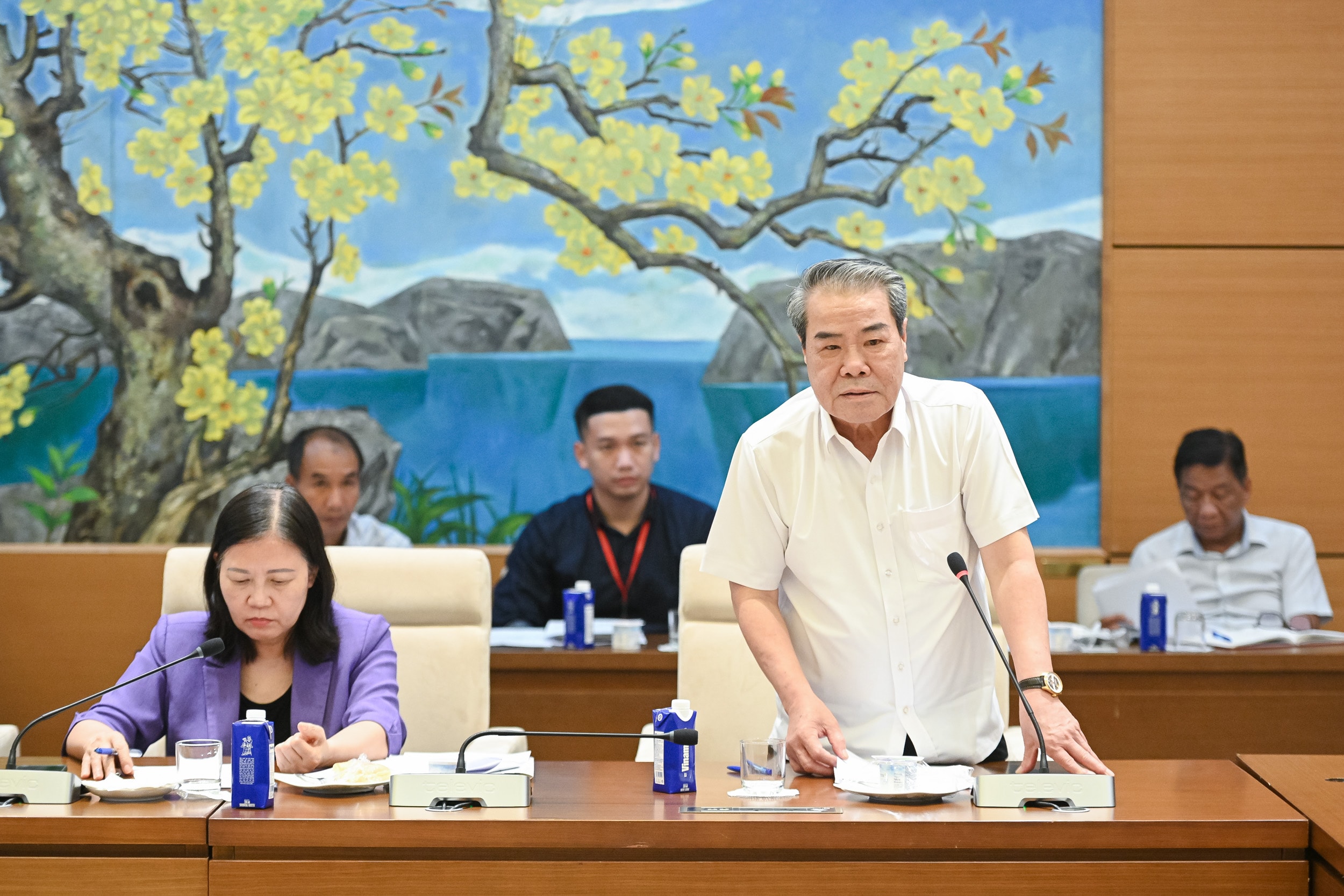 Z72_6444 - Chủ nhiệm Ủy ban Dân nguyện và Giám sát Dương Thanh Bình