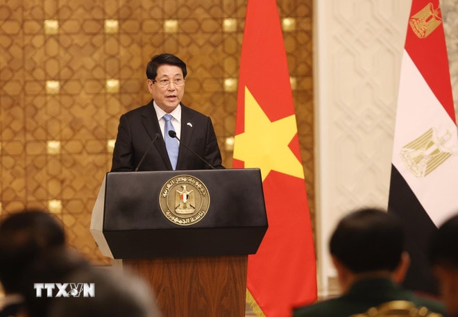 Chủ tịch nước Lương Cường thông tin về kết quả hội đàm với Tổng thống Ai Cập Abdel Fattah El-Sisi. (Ảnh: Lâm Khánh/TTXVN) ttxvn-chu-tich-nuoc-luong-cuong-va-tong-thong-ai-cap-abdel-fattah-el-sisi-thong-bao-ket-qua-hoi-dam-8191993-2.jpg