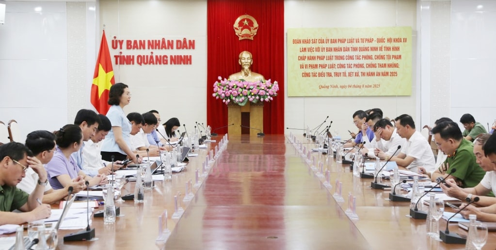 qn1.jpg