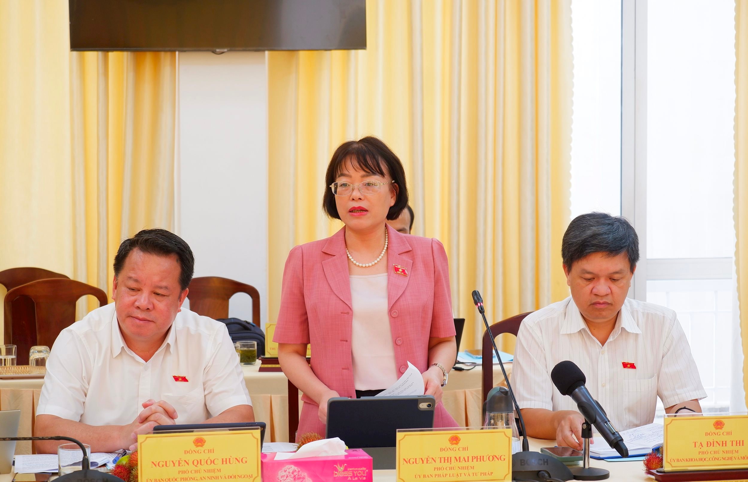 Phó Chủ nhiệm Ủy ban Pháp luật và Tư pháp Nguyễn Thị Mai Phương phát biểu tại cuộc làm việc