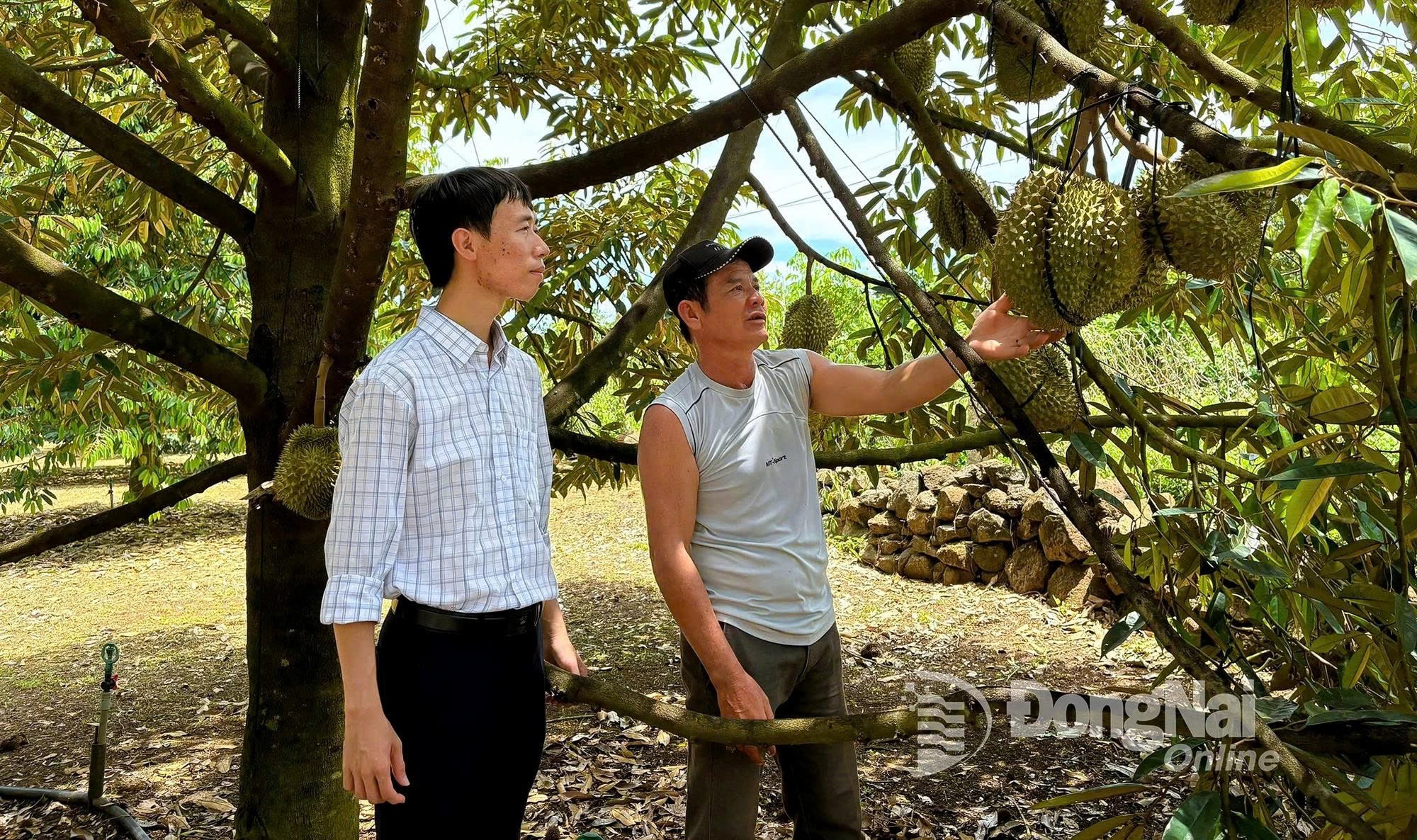 ảnh bài 3