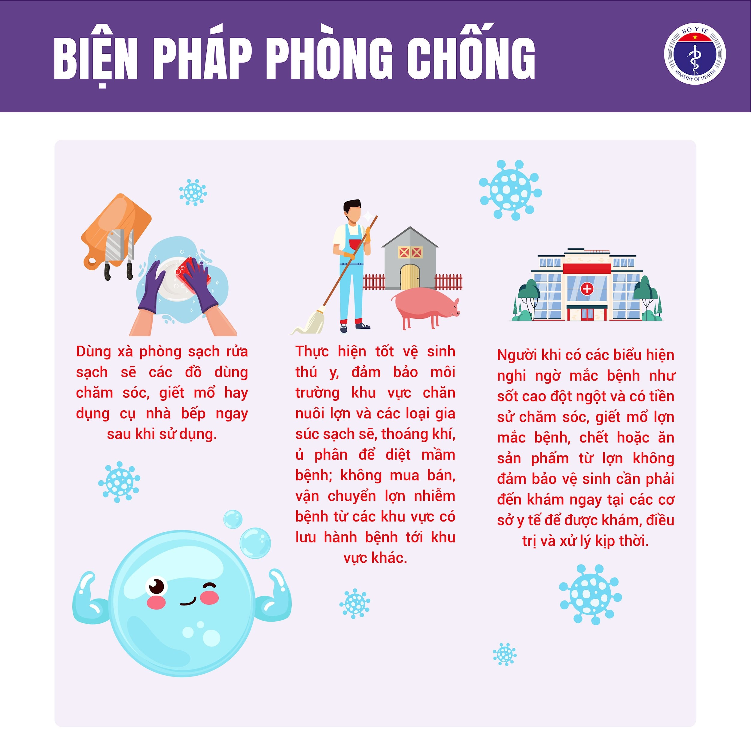 Liên cầu lợn 5