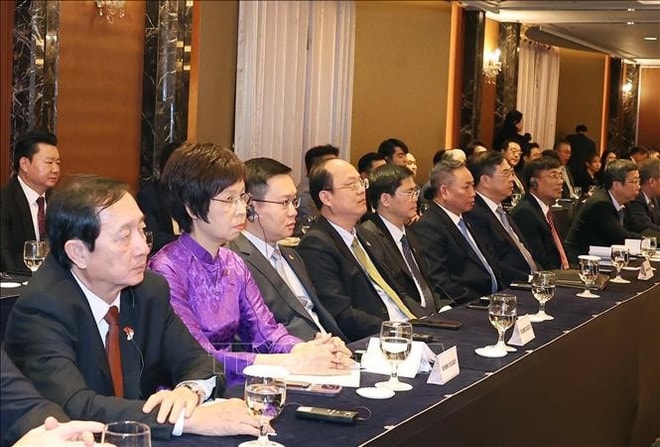 dai-bieu-viet-nam.jpg