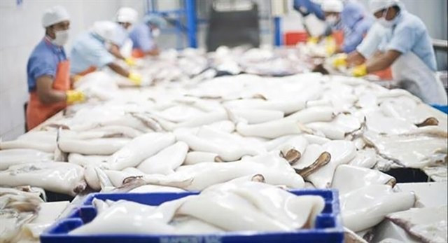 A squid processing line for export. (Photo: VASEP)