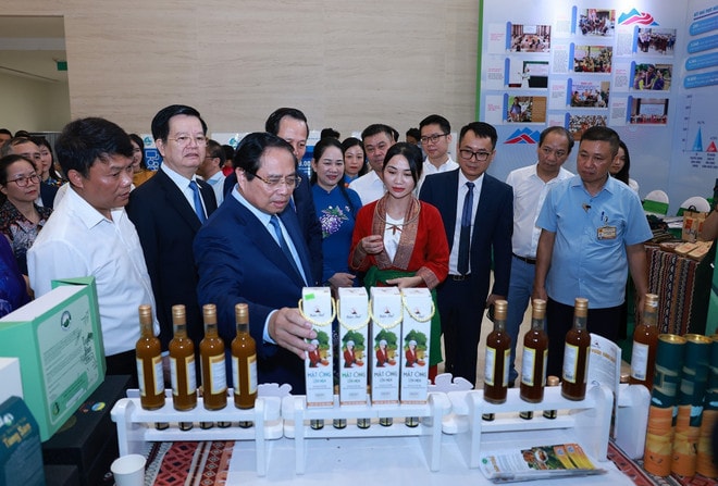 vna-potal-thu-tuong-du-tong-ket-chuong-trinh-muc-tieu-quoc-gia-phat-trien-kinh-te-xa-hoi-vung-dong-bao-dan-toc-thieu-so-8207245.jpg