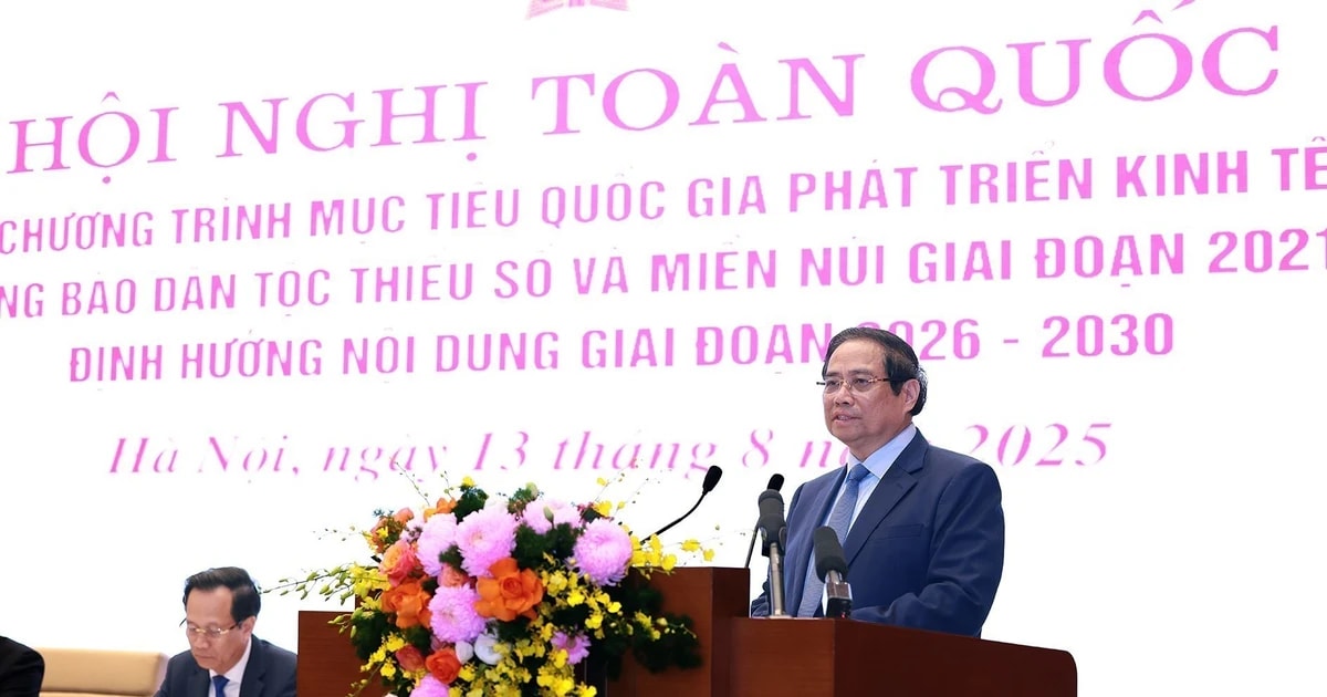 Prime Minister Pham Minh Chinh addresses the conference. (Photo: VNA)