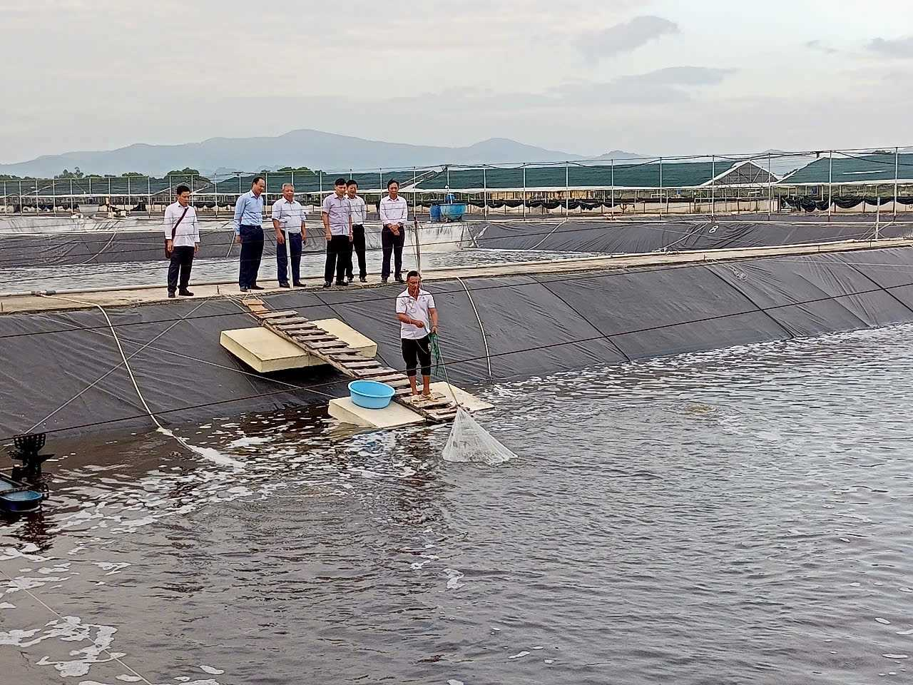 Nghiên cứu khoa học tại Trạm Thực hành - Chuyển giao kỹ thuật và Dịch vụ khuyến nông