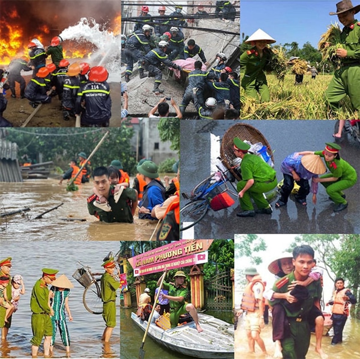 b1.jpg