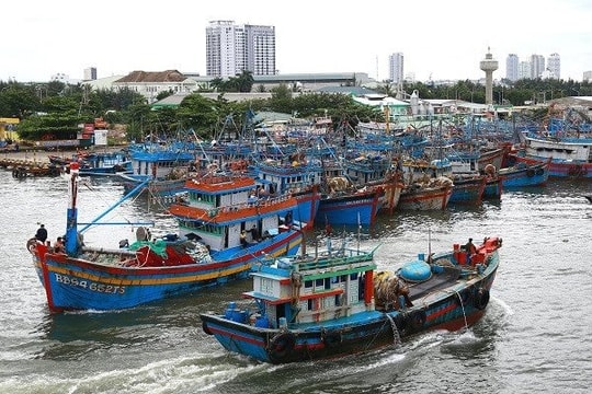 21-1664263193-da-nang-cam-nguoi-dan-ra-duong.jpg